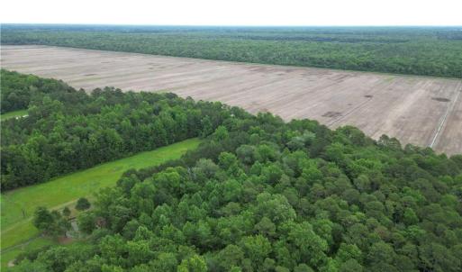 Photo #13 of 1813 Shillelagh Road, Chesapeake, Virginia 7.4 acres