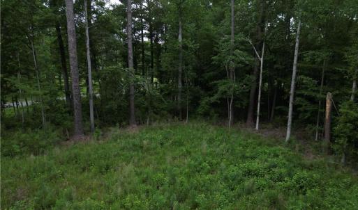 Photo #8 of 1813 Shillelagh Road, Chesapeake, Virginia 7.4 acres