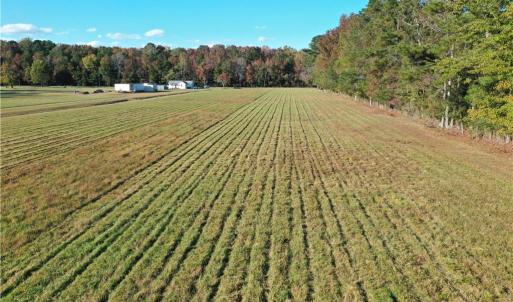 Photo #12 of 4809 Sondej Avenue, Chesapeake, Virginia 6.0 acres