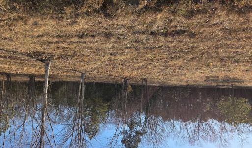 Photo #1 of 5 Sandy Hill Road, Courtland, Virginia 0.5 acres