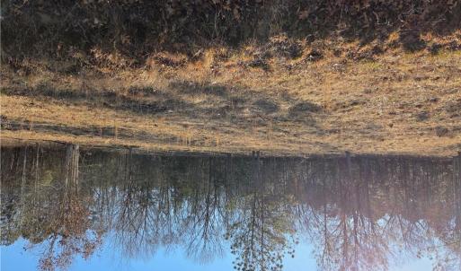 Photo #2 of 7 Sandy Hill Road, Courtland, Virginia 0.5 acres