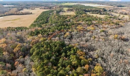 Photo #2 of 71.94 Seacock Chapel Road, Ivor, Virginia 71.9 acres