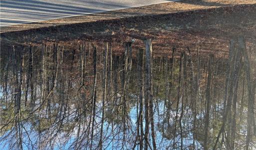 Photo #2 of Eleytown Road, Murfreesboro, North Carolina 7.9 acres