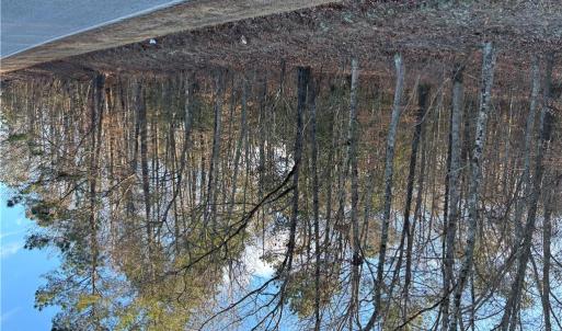 Photo #3 of Eleytown Road, Murfreesboro, North Carolina 7.9 acres