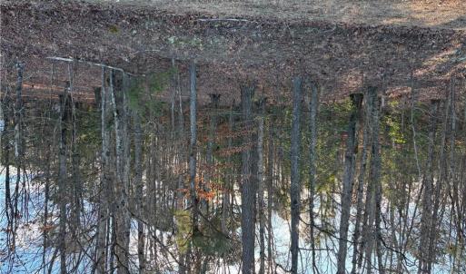 Photo #4 of 7.88ac Eleytown Road, Murfreesboro, North Carolina 7.9 acres