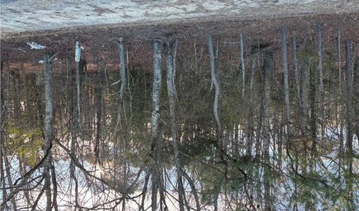 Photo #5 of 7.88ac Eleytown Road, Murfreesboro, North Carolina 7.9 acres