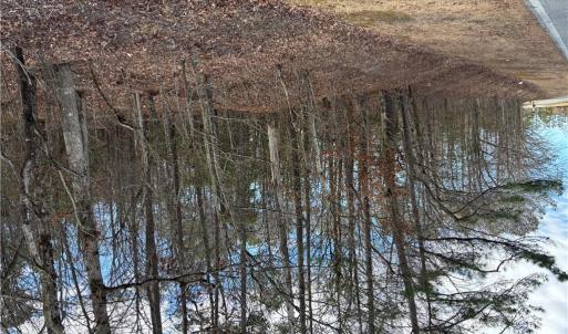 Photo #7 of 7.88ac Eleytown Road, Murfreesboro, North Carolina 7.9 acres