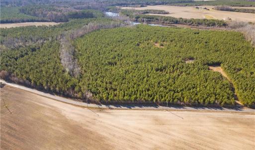 Photo #15 of 134ac Crumpler Road, Ivor, Virginia 134.8 acres