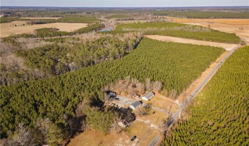 Photo #7 of 134ac Crumpler Road, Ivor, Virginia 134.8 acres