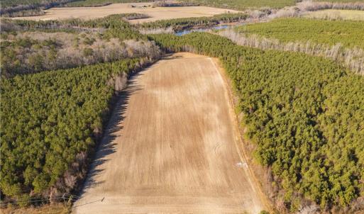 Photo #10 of 134ac Crumpler Road, Ivor, Virginia 134.8 acres