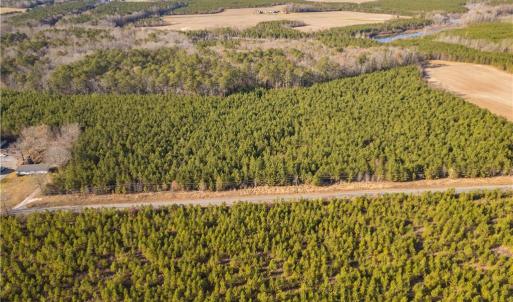 Photo #2 of 134ac Crumpler Road, Ivor, Virginia 134.8 acres