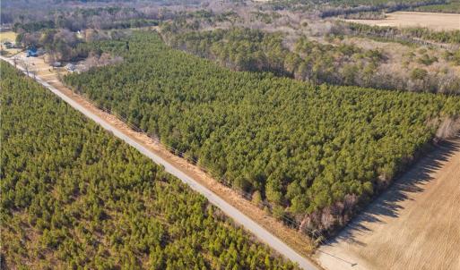 Photo #4 of 134ac Crumpler Road, Ivor, Virginia 134.8 acres