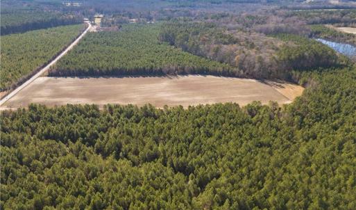 Photo #7 of 134ac Crumpler Road, Ivor, Virginia 134.8 acres