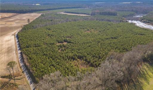 Photo #8 of 134ac Crumpler Road, Ivor, Virginia 134.8 acres