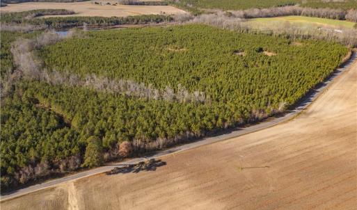 Photo #9 of 134ac Crumpler Road, Ivor, Virginia 134.8 acres