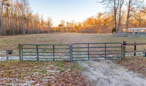 Welcome to Runninghorse Lane