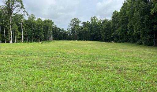 Summer View when everything is green