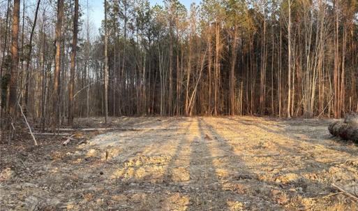 Photo #4 of 6568 Blackwater Road, Virginia Beach, Virginia 5.2 acres