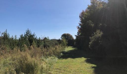 Photo #5 of 2.995a Plantation (Parcel B Ac) Road, Onancock, Virginia 3.0 acres