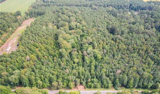 Photo #13 of 2.5 Ac Dismal Swamp Canal Trail, Chesapeake, Virginia 2.5 acres