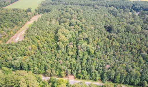 Photo #14 of 2.5 Ac Dismal Swamp Canal Trail, Chesapeake, Virginia 2.5 acres