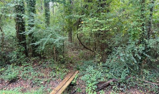 Photo #15 of 2.5 Ac Dismal Swamp Canal Trail, Chesapeake, Virginia 2.5 acres