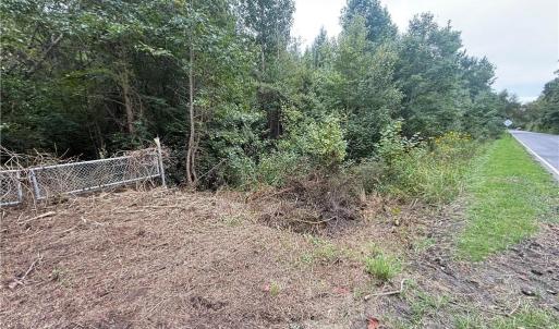 Photo #20 of 2.5 Ac Dismal Swamp Canal Trail, Chesapeake, Virginia 2.5 acres