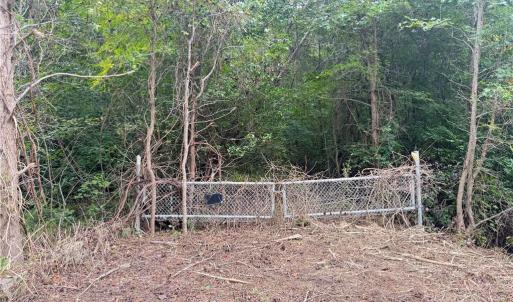 Photo #4 of 2.5 Ac Dismal Swamp Canal Trail, Chesapeake, Virginia 2.5 acres