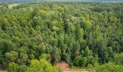 Photo #5 of 2.5 Ac Dismal Swamp Canal Trail, Chesapeake, Virginia 2.5 acres