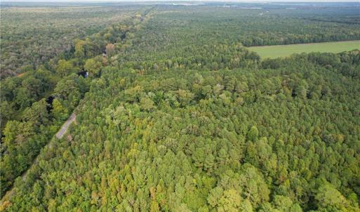 Photo #8 of 2.5 Ac Dismal Swamp Canal Trail, Chesapeake, Virginia 2.5 acres