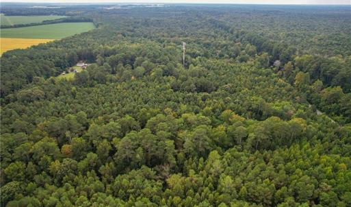 Photo #11 of 2.5 Ac Dismal Swamp Canal Trail, Chesapeake, Virginia 2.5 acres