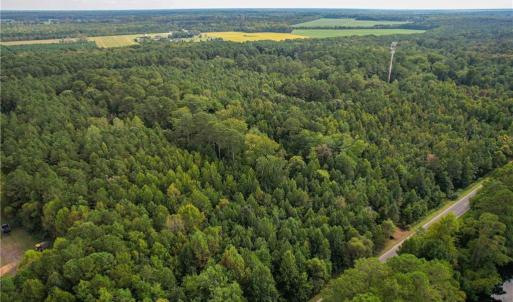 Photo #6 of 2.5 Ac Dismal Swamp Canal Trail, Chesapeake, Virginia 2.5 acres
