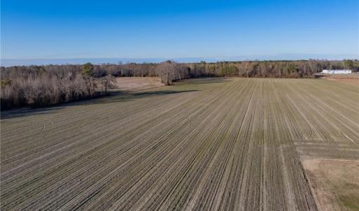 Photo #1 of 52+ AC Holland Road, Suffolk, Virginia 52.6 acres