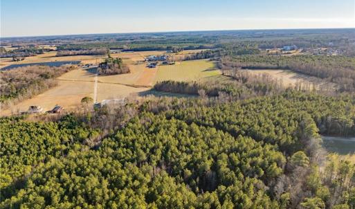 Photo #11 of 52+ AC Holland Road, Suffolk, Virginia 52.6 acres