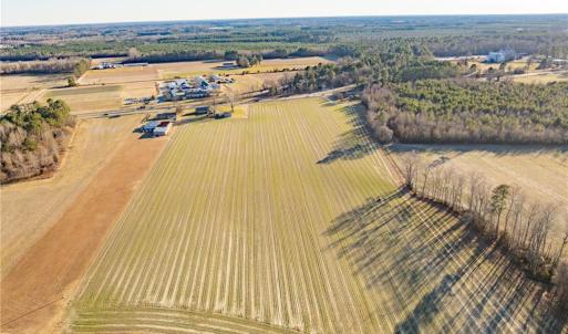 Photo #14 of 52+ AC Holland Road, Suffolk, Virginia 52.6 acres