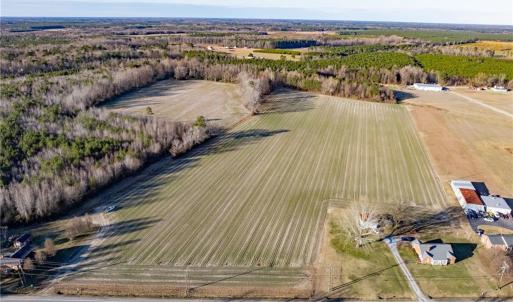 Photo #15 of 52+ AC Holland Road, Suffolk, Virginia 52.6 acres