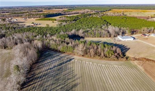 Photo #19 of 52+ AC Holland Road, Suffolk, Virginia 52.6 acres