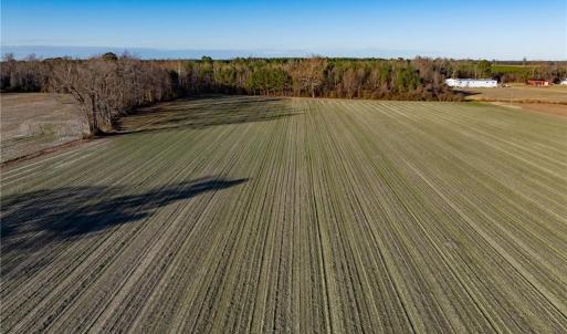Photo #21 of 52+ AC Holland Road, Suffolk, Virginia 52.6 acres