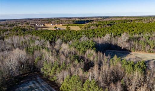 Photo #23 of 52+ AC Holland Road, Suffolk, Virginia 52.6 acres