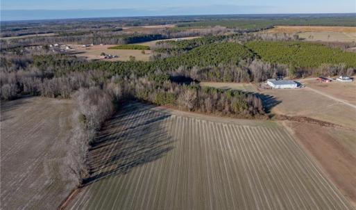 Photo #4 of 52+ AC Holland Road, Suffolk, Virginia 52.6 acres