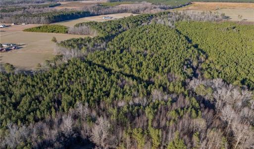 Photo #6 of 52+ AC Holland Road, Suffolk, Virginia 52.6 acres