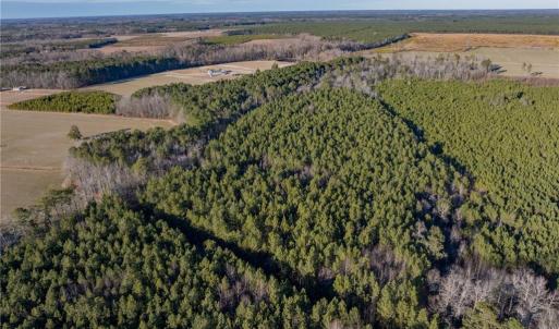 Photo #7 of 52+ AC Holland Road, Suffolk, Virginia 52.6 acres