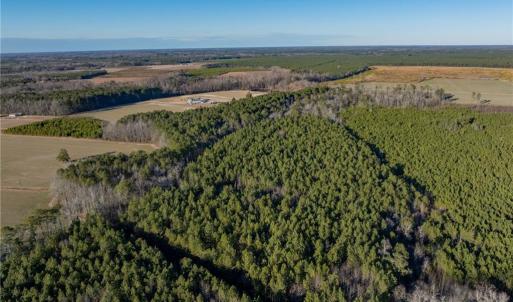 Photo #8 of 52+ AC Holland Road, Suffolk, Virginia 52.6 acres