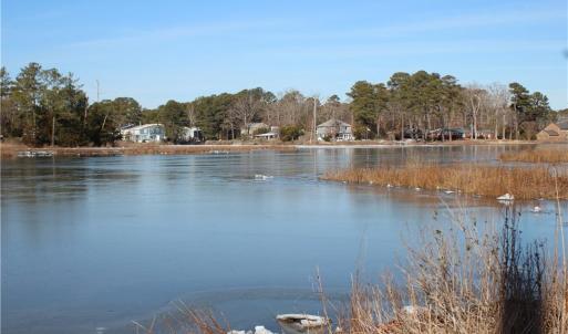 Great Neck Creek