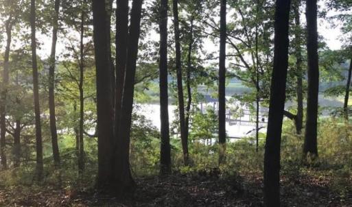 Photo #10 of 2561 Fort Huger Drive, Smithfield, Virginia 3.0 acres
