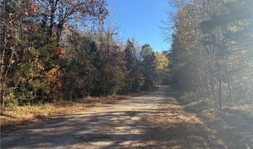 Photo #5 of 77.5ac Shippings Road, Mc Kenney, Virginia