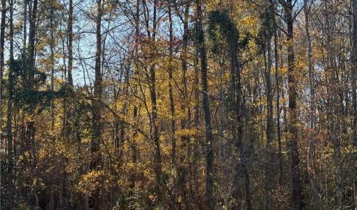 Photo #7 of 77.5ac Shippings Road, Mc Kenney, Virginia