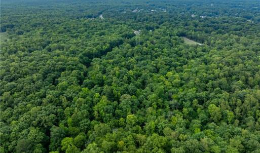 Photo #11 of 4881 Centerville Road, Williamsburg, Virginia 13.9 acres