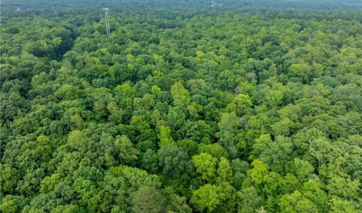 Photo #14 of 4881 Centerville Road, Williamsburg, Virginia 13.9 acres