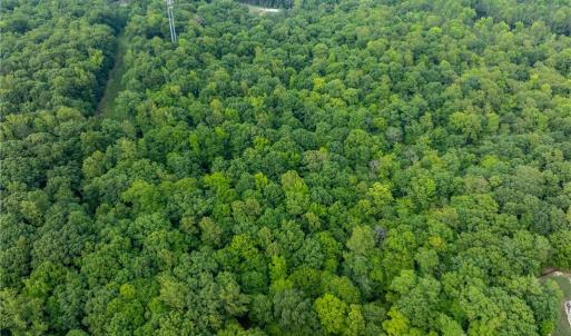 Photo #15 of 4881 Centerville Road, Williamsburg, Virginia 13.9 acres